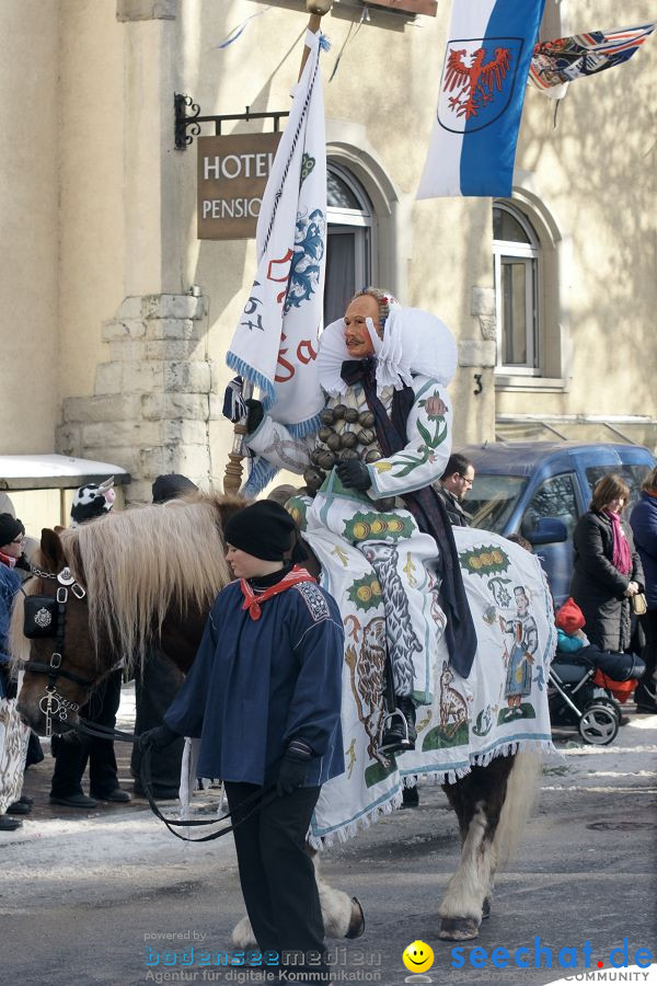 Narrenumzug: Villingen, 16.02.2010