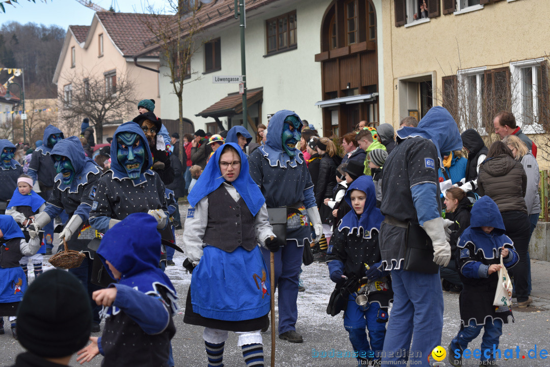 Jubilaeumsumzug - 60 Jahre Zeller Katz: Eberhardszell, 24.02.2019