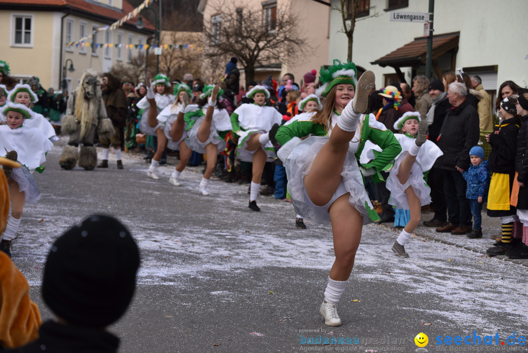 Jubilaeumsumzug - 60 Jahre Zeller Katz: Eberhardszell, 24.02.2019