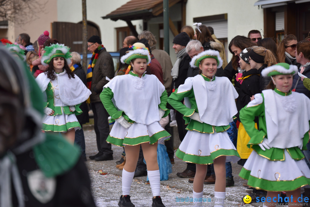 Jubilaeumsumzug - 60 Jahre Zeller Katz: Eberhardszell, 24.02.2019