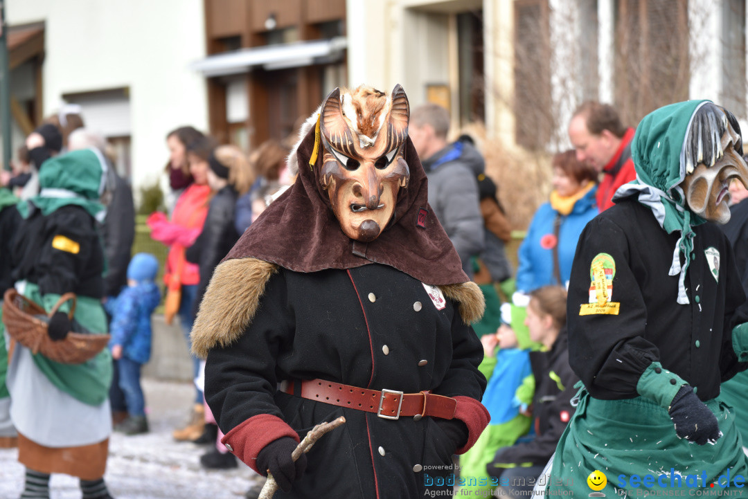 Jubilaeumsumzug - 60 Jahre Zeller Katz: Eberhardszell, 24.02.2019