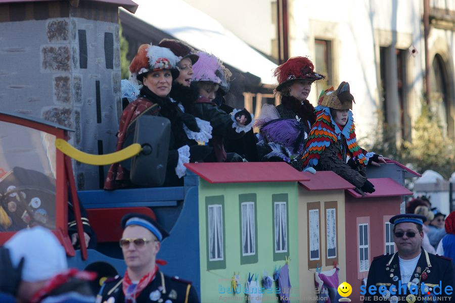 Narrenumzug: Villingen, 16.02.2010