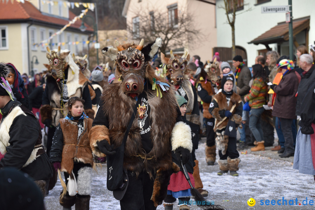 Jubilaeumsumzug - 60 Jahre Zeller Katz: Eberhardszell, 24.02.2019