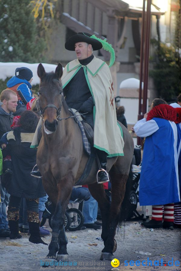 Narrenumzug: Villingen, 16.02.2010