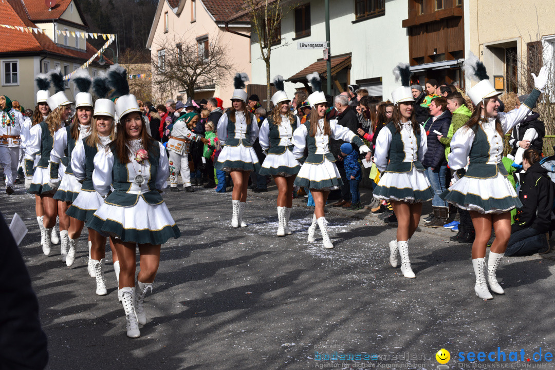 Jubilaeumsumzug - 60 Jahre Zeller Katz: Eberhardszell, 24.02.2019
