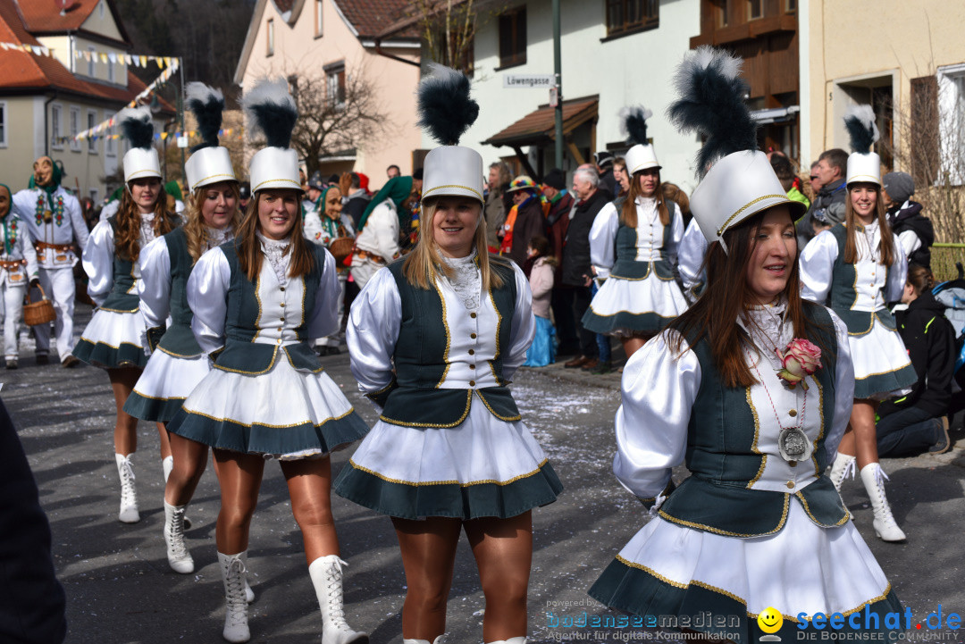 Jubilaeumsumzug - 60 Jahre Zeller Katz: Eberhardszell, 24.02.2019