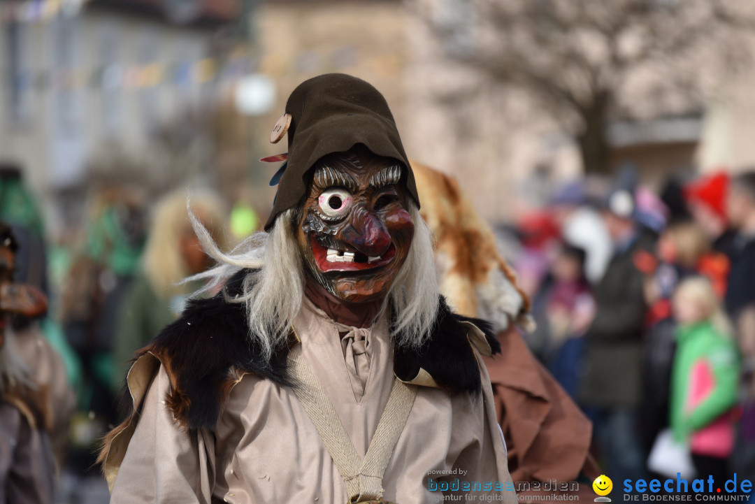 Jubilaeumsumzug - 60 Jahre Zeller Katz: Eberhardszell, 24.02.2019