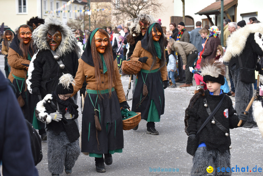Jubilaeumsumzug - 60 Jahre Zeller Katz: Eberhardszell, 24.02.2019