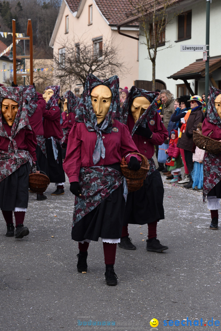 Jubilaeumsumzug - 60 Jahre Zeller Katz: Eberhardszell, 24.02.2019