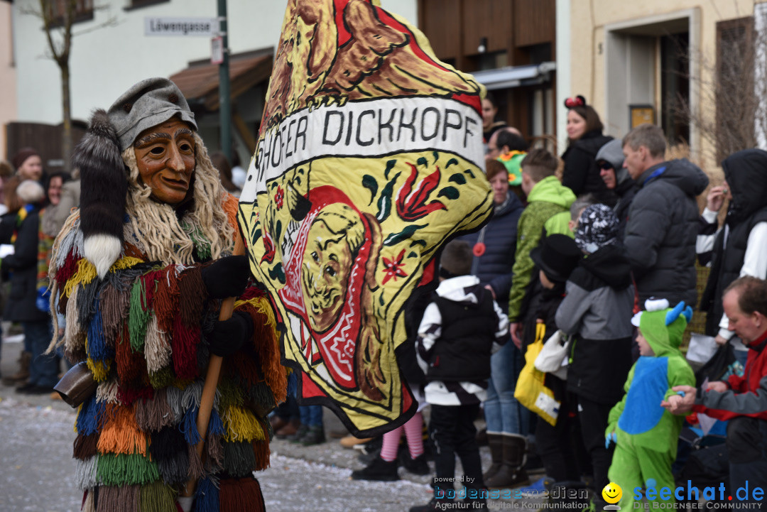 Jubilaeumsumzug - 60 Jahre Zeller Katz: Eberhardszell, 24.02.2019