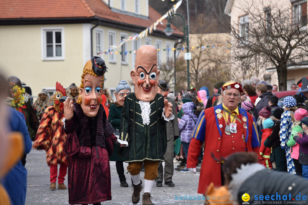 Jubilaeumsumzug - 60 Jahre Zeller Katz: Eberhardszell, 24.02.2019