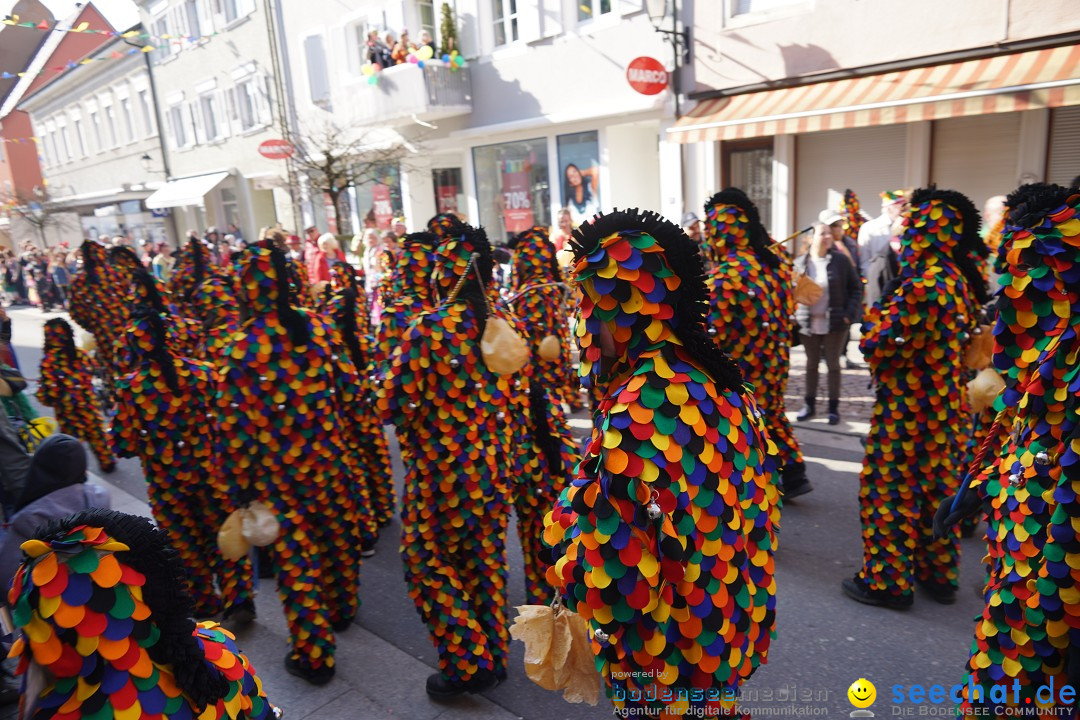 Narrenbaumstellen: Stockach am Bodensee, 28.02.2019