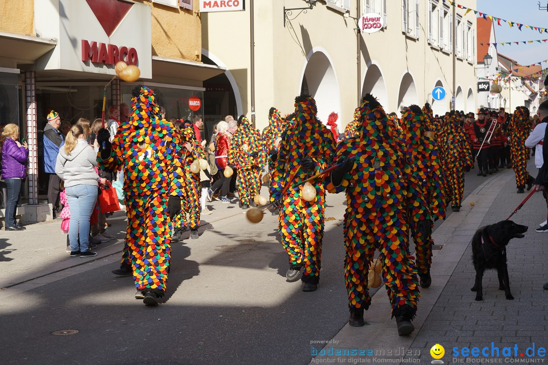 Narrenbaumstellen: Stockach am Bodensee, 28.02.2019