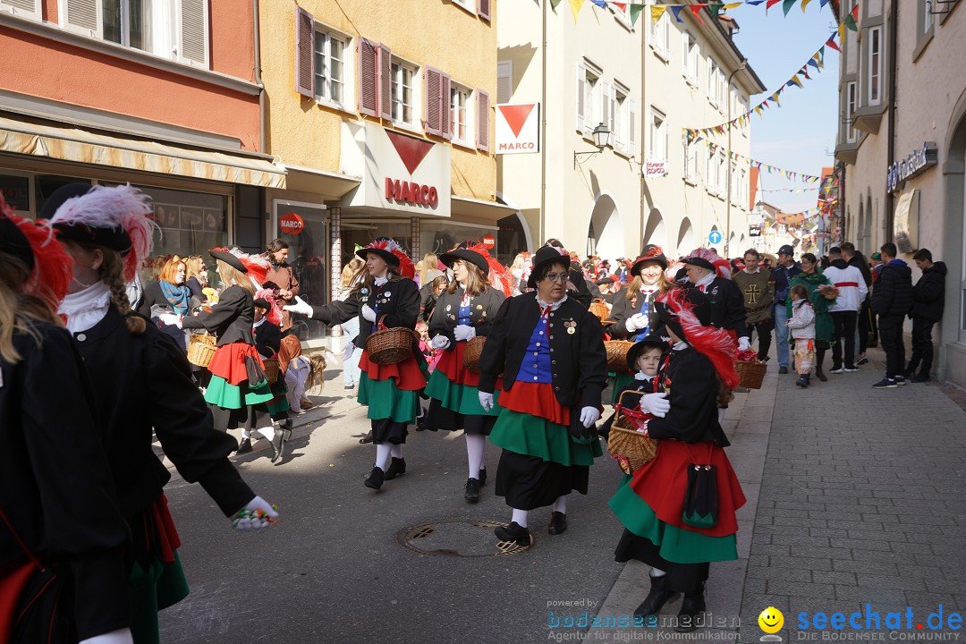 Narrenbaumstellen: Stockach am Bodensee, 28.02.2019
