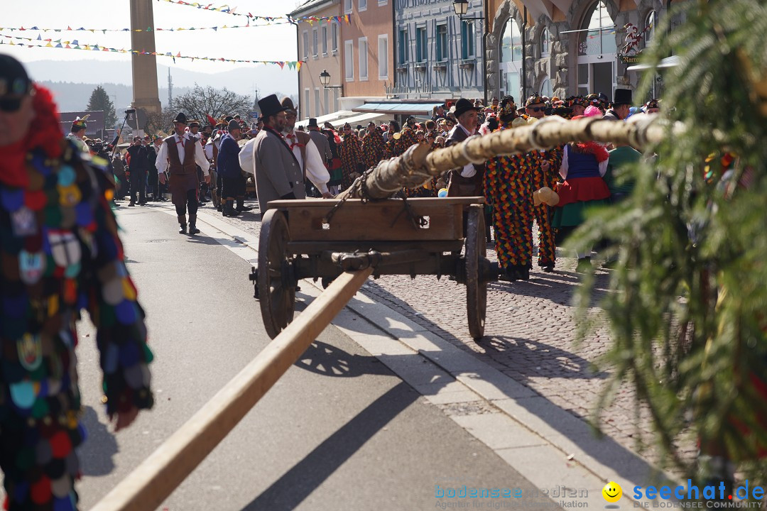 Narrenbaumstellen: Stockach am Bodensee, 28.02.2019