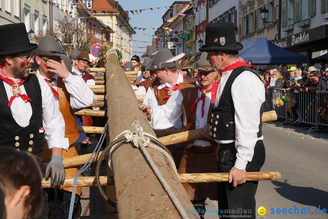 Narrenbaumstellen: Stockach am Bodensee, 28.02.2019