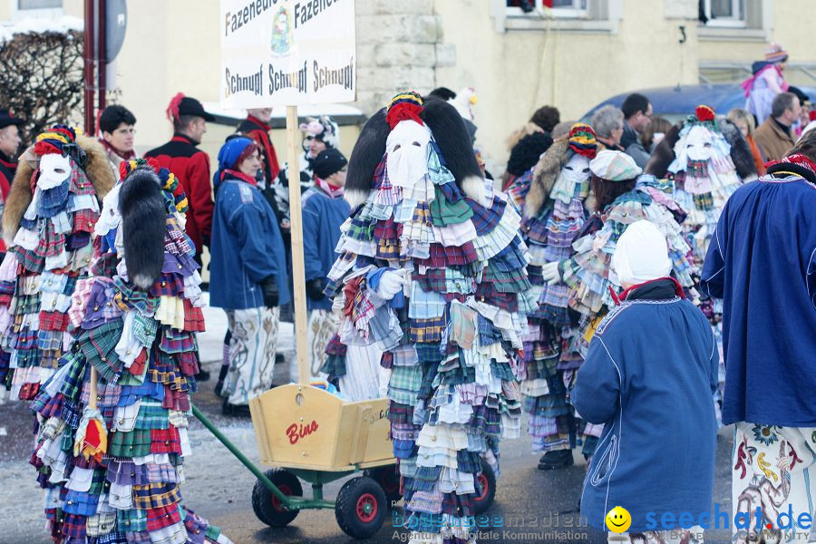 Narrenumzug: Villingen, 16.02.2010