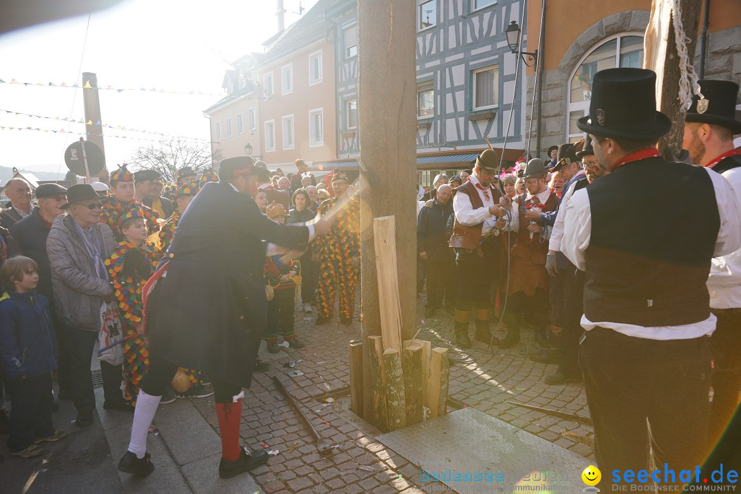 Narrenbaumstellen: Stockach am Bodensee, 28.02.2019