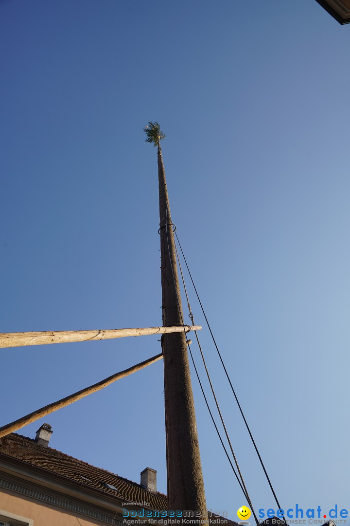 Narrenbaumstellen: Stockach am Bodensee, 28.02.2019