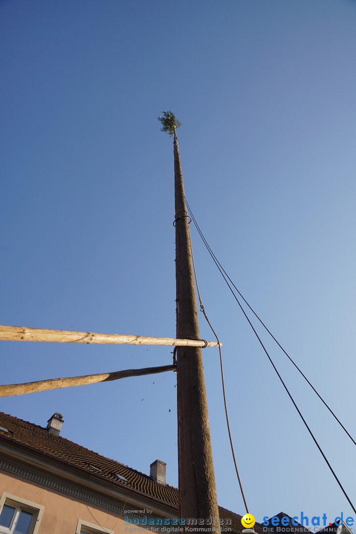 Narrenbaumstellen: Stockach am Bodensee, 28.02.2019