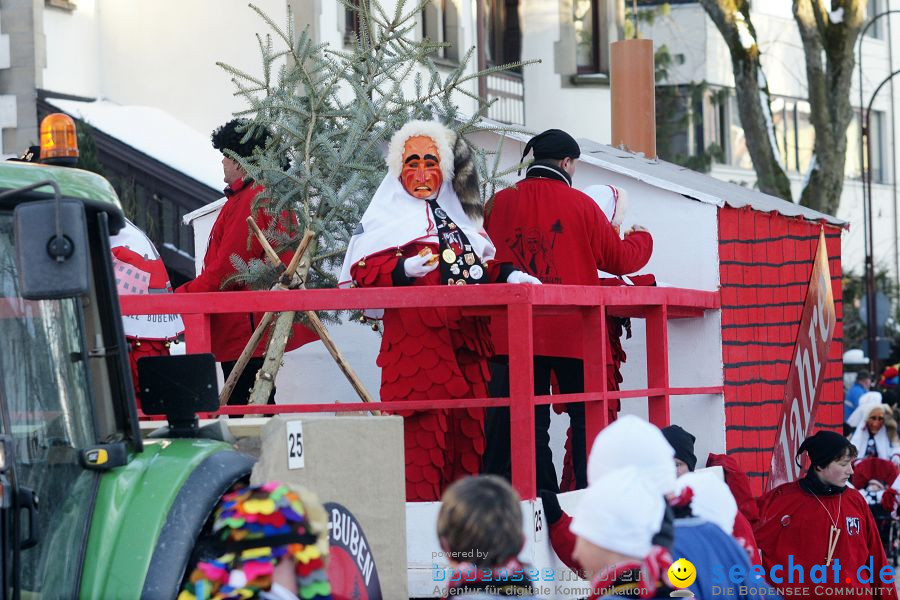 Narrenumzug: Villingen, 16.02.2010