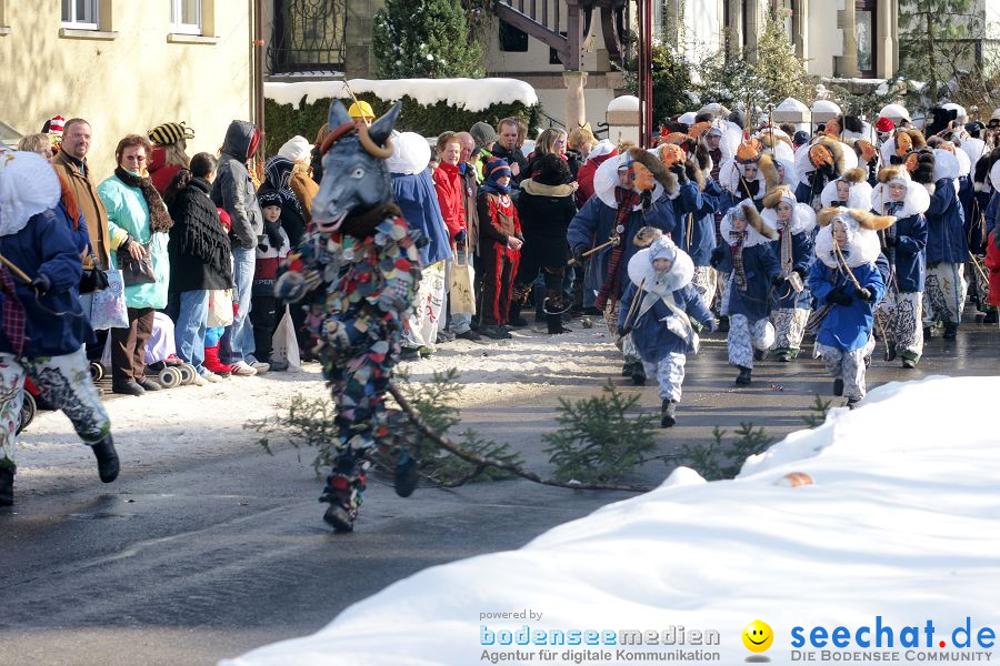 Narrenumzug: Villingen, 16.02.2010