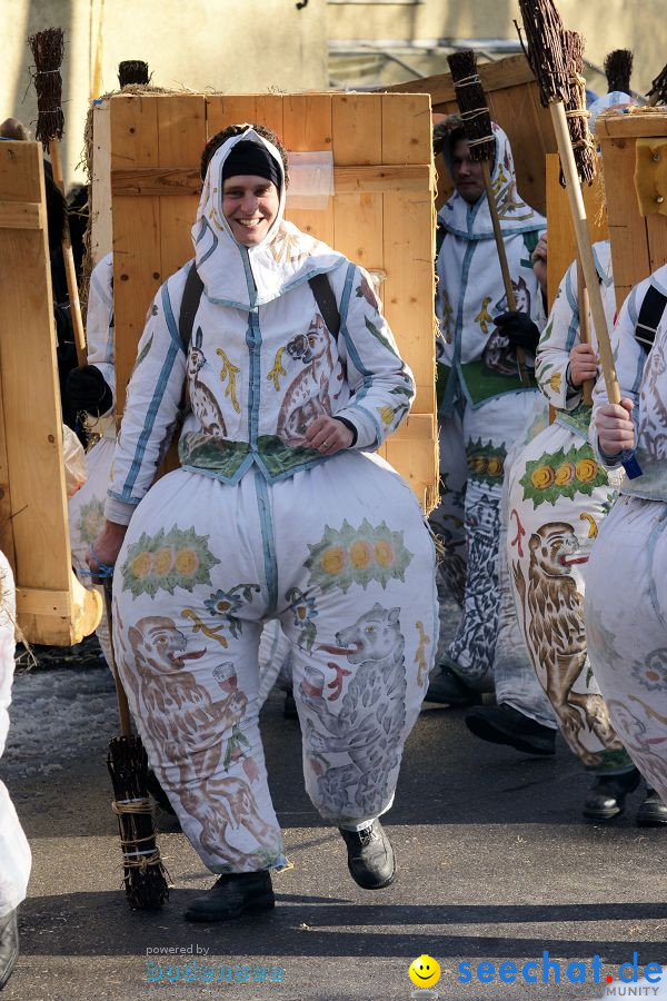 Narrenumzug: Villingen, 16.02.2010