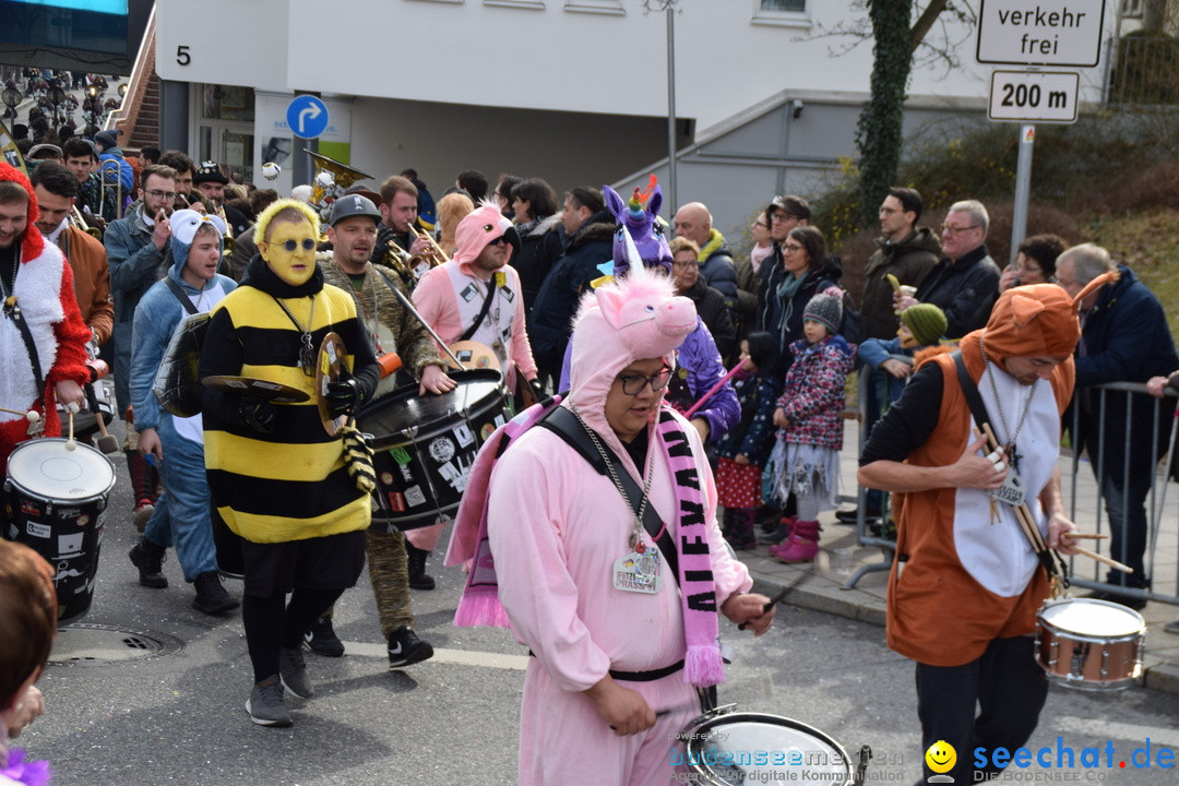 Grosser Narrensprung: Friedrichshafen am Bodensee, 02.03.2019