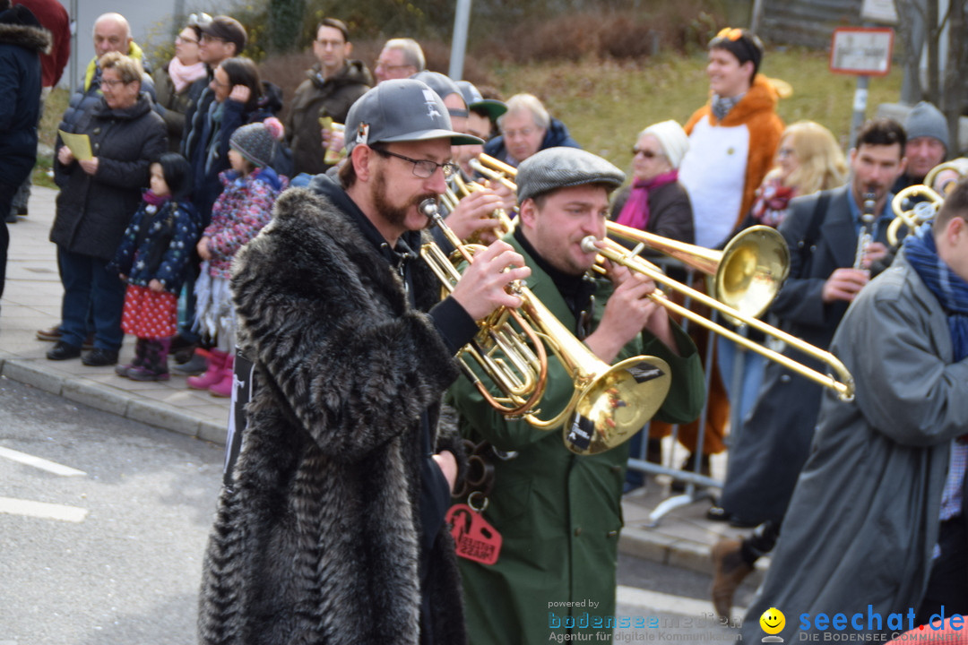 Grosser Narrensprung: Friedrichshafen am Bodensee, 02.03.2019