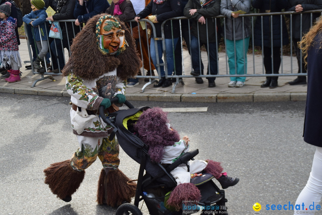 Grosser Narrensprung: Friedrichshafen am Bodensee, 02.03.2019