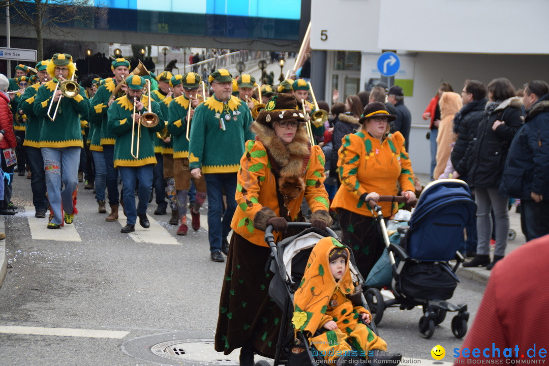 Grosser Narrensprung: Friedrichshafen am Bodensee, 02.03.2019