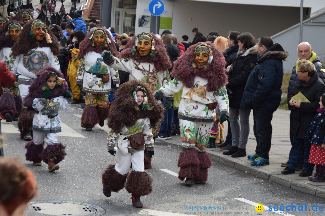 Grosser Narrensprung: Friedrichshafen am Bodensee, 02.03.2019