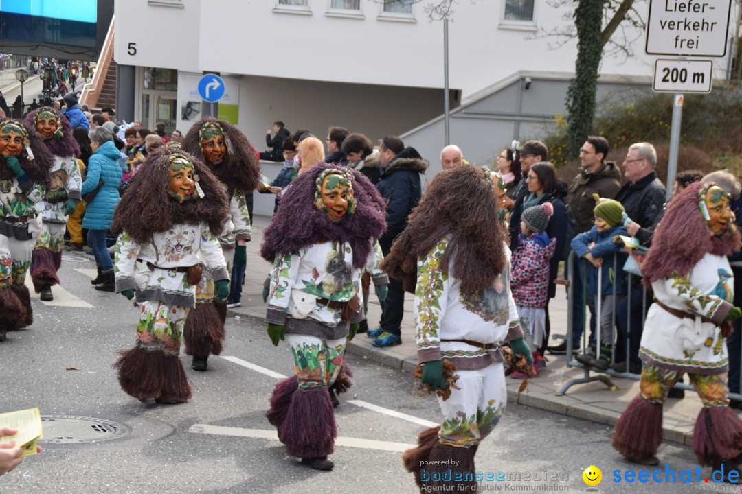 Grosser Narrensprung: Friedrichshafen am Bodensee, 02.03.2019