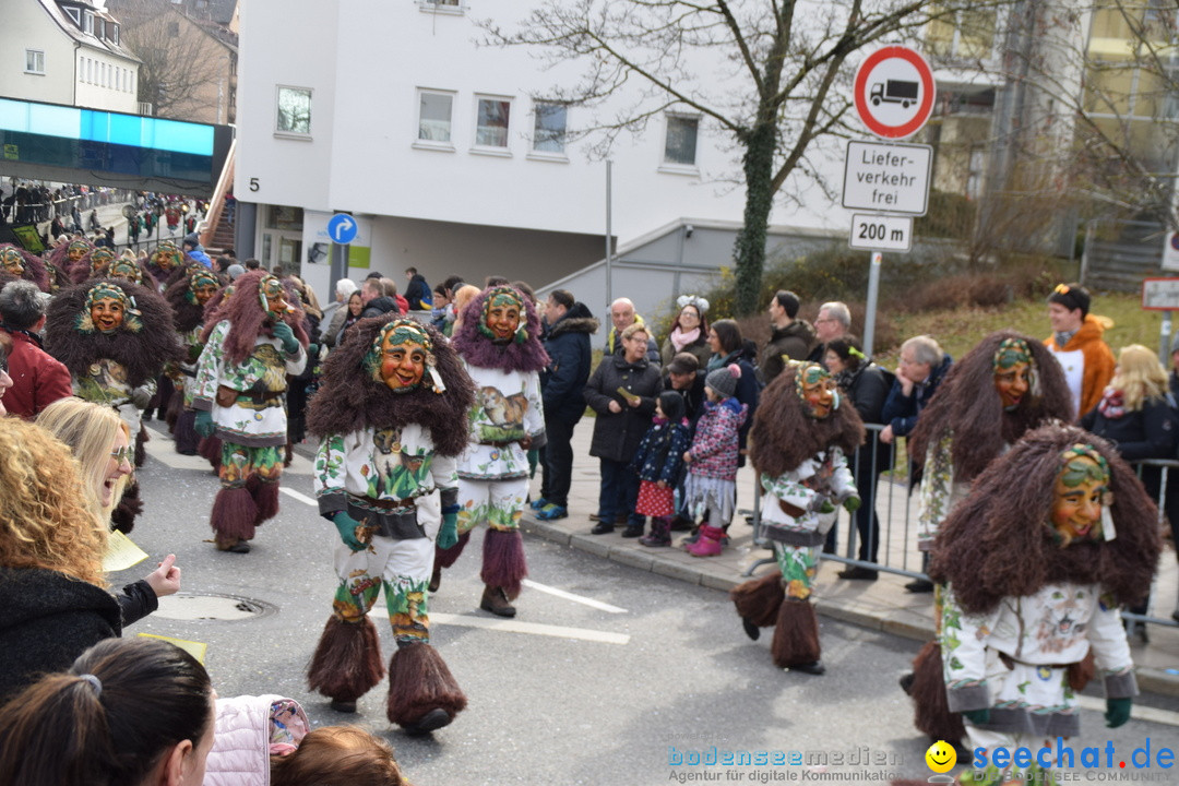 Grosser Narrensprung: Friedrichshafen am Bodensee, 02.03.2019