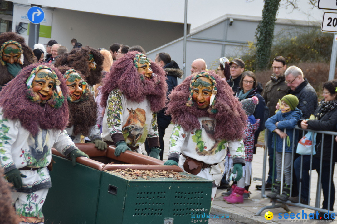 Grosser Narrensprung: Friedrichshafen am Bodensee, 02.03.2019