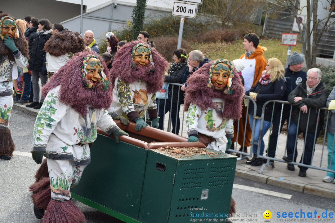 Grosser Narrensprung: Friedrichshafen am Bodensee, 02.03.2019
