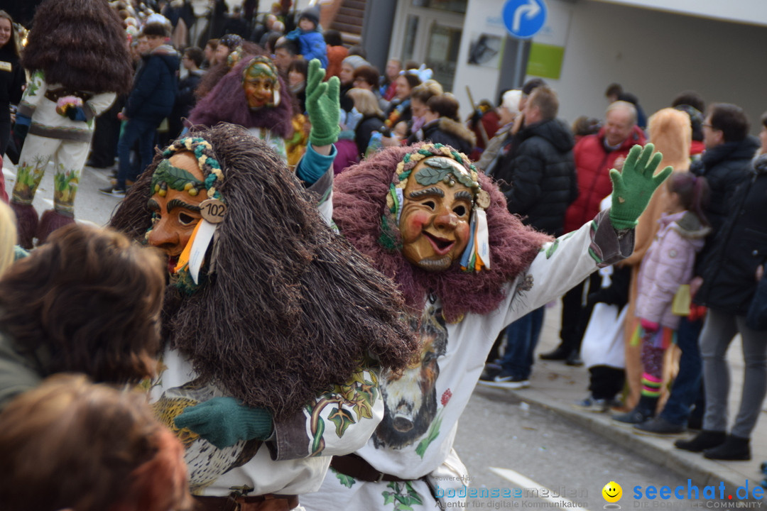 Grosser Narrensprung: Friedrichshafen am Bodensee, 02.03.2019