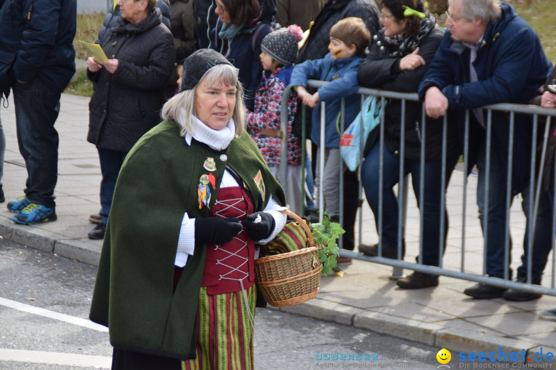 Grosser Narrensprung: Friedrichshafen am Bodensee, 02.03.2019