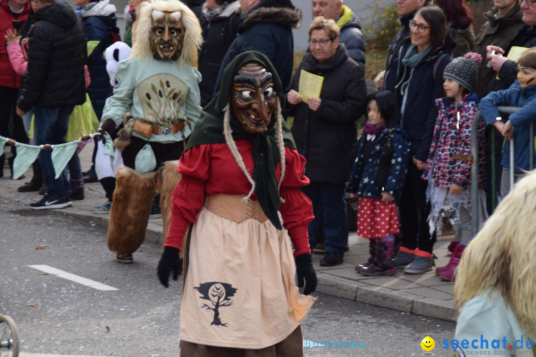 Grosser Narrensprung: Friedrichshafen am Bodensee, 02.03.2019
