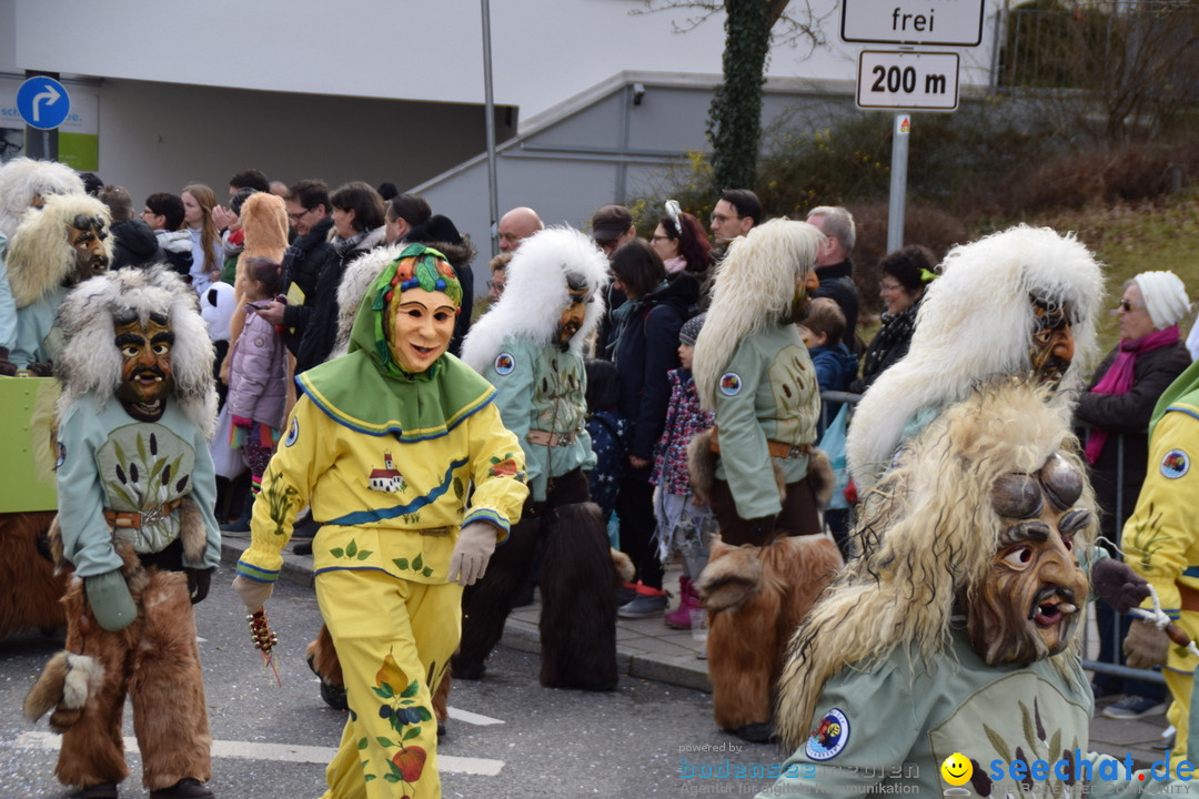 Grosser Narrensprung: Friedrichshafen am Bodensee, 02.03.2019