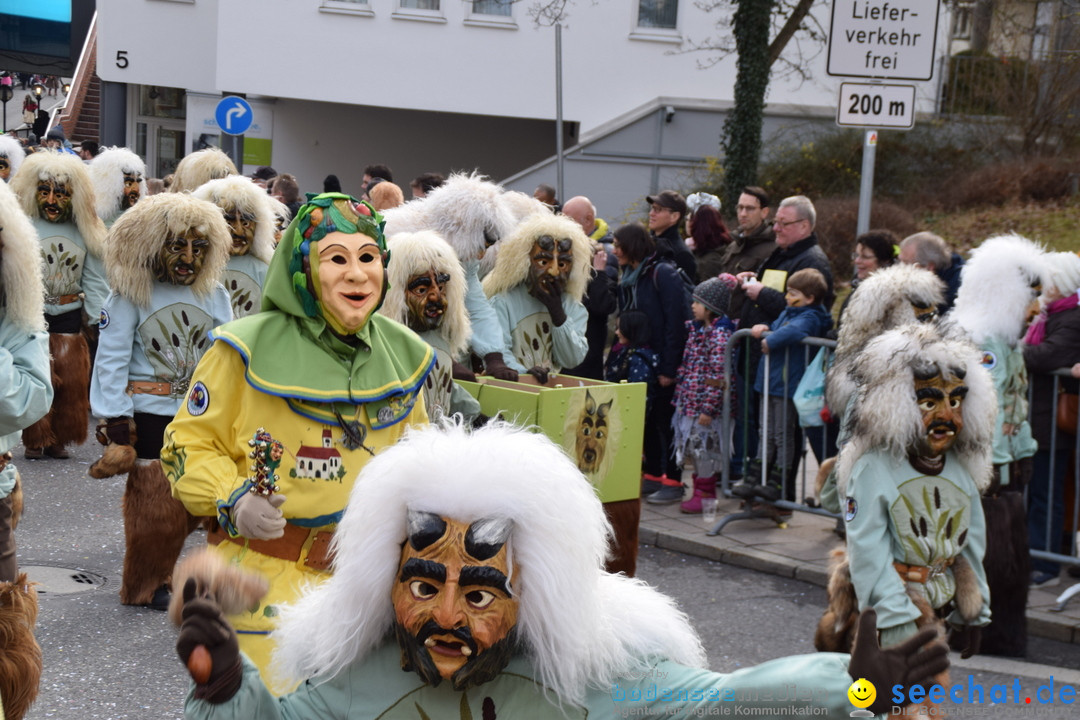 Grosser Narrensprung: Friedrichshafen am Bodensee, 02.03.2019