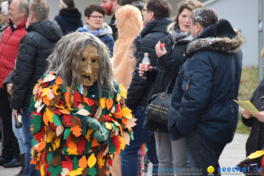 Grosser Narrensprung: Friedrichshafen am Bodensee, 02.03.2019