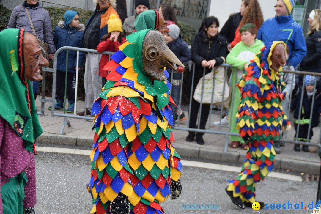Grosser Narrensprung: Friedrichshafen am Bodensee, 02.03.2019