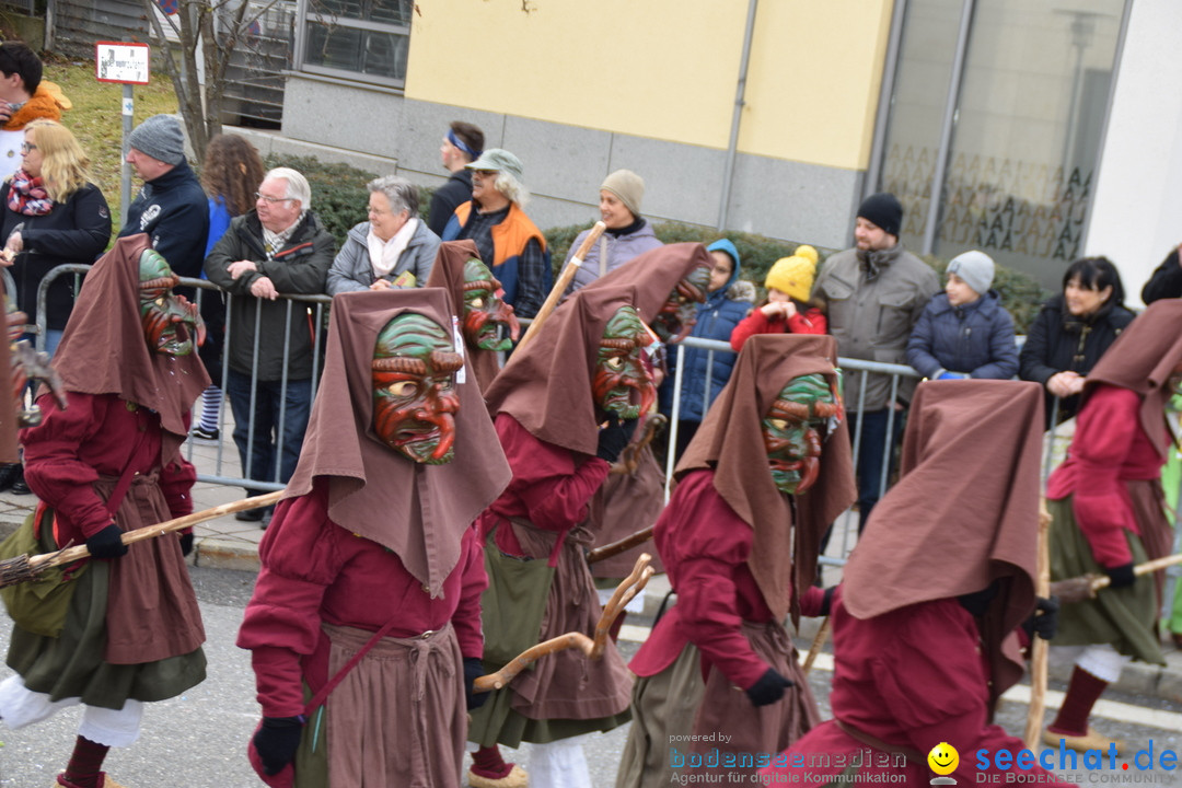 Grosser Narrensprung: Friedrichshafen am Bodensee, 02.03.2019