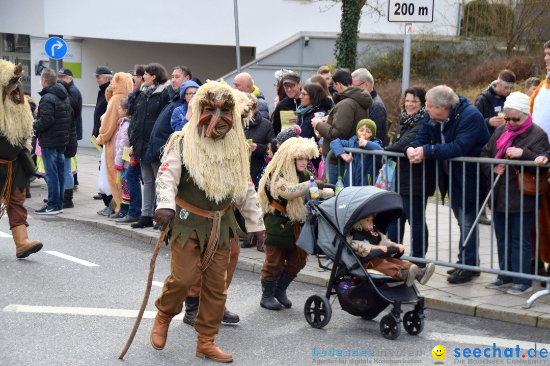 Grosser Narrensprung: Friedrichshafen am Bodensee, 02.03.2019
