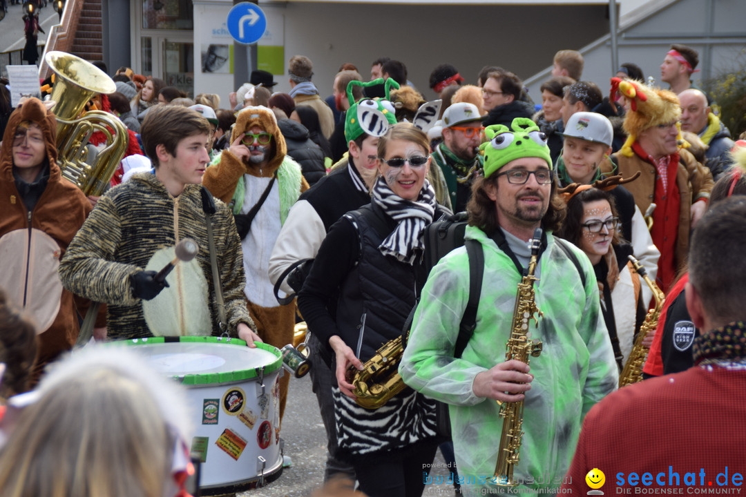 Grosser Narrensprung: Friedrichshafen am Bodensee, 02.03.2019