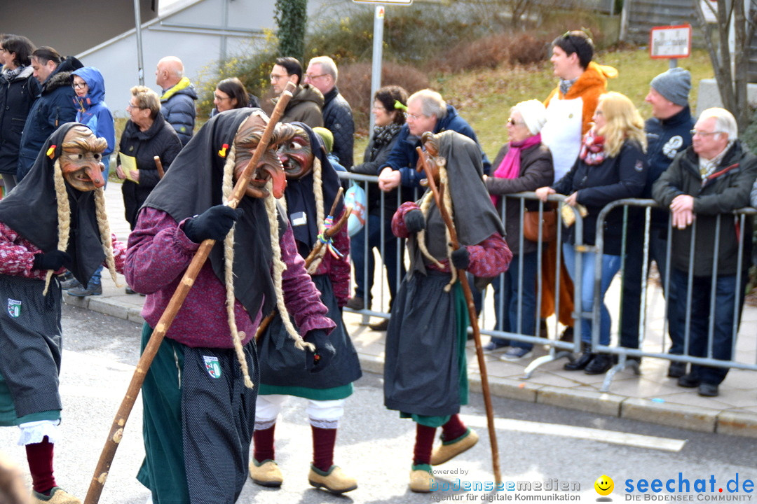 Grosser Narrensprung: Friedrichshafen am Bodensee, 02.03.2019