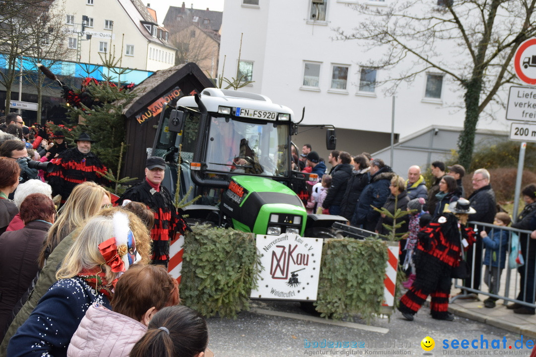 Grosser Narrensprung: Friedrichshafen am Bodensee, 02.03.2019