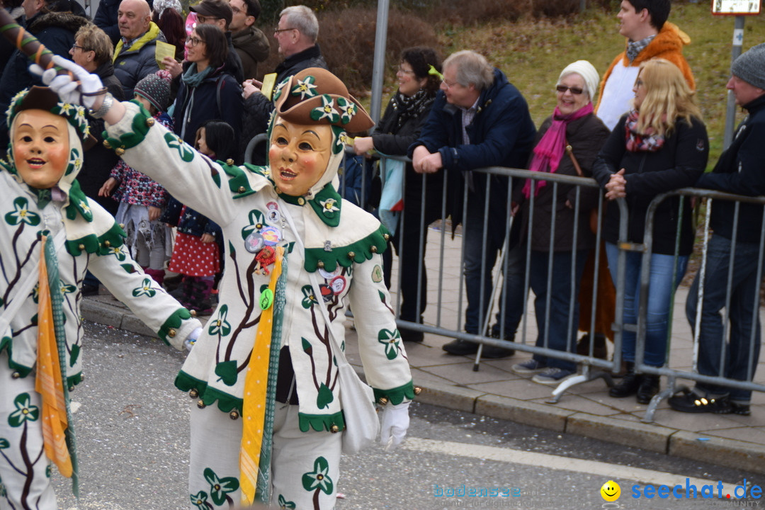 Grosser Narrensprung: Friedrichshafen am Bodensee, 02.03.2019