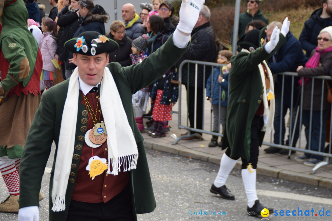 Grosser Narrensprung: Friedrichshafen am Bodensee, 02.03.2019